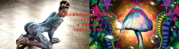 меф Мегион