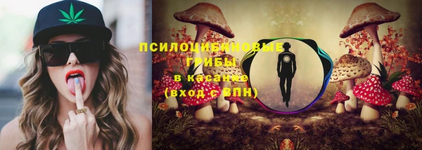 спиды Медногорск