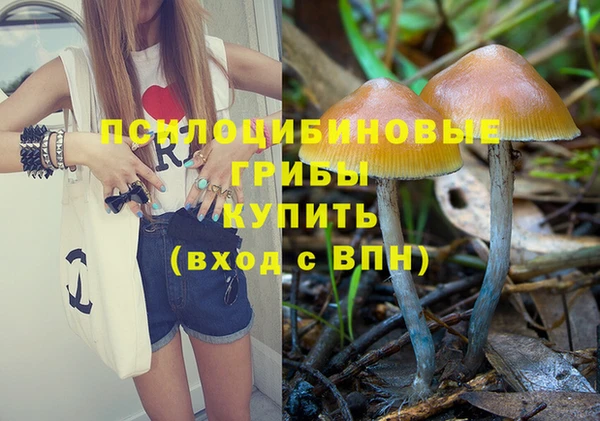 бутират Медвежьегорск