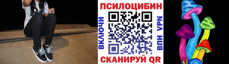 как найти закладки  гидра   Галлюциногенные грибы мицелий  Куровское 