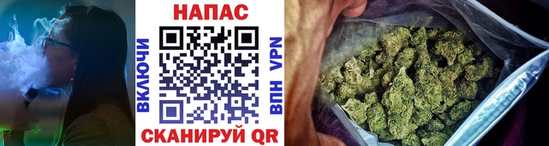 купить  цена  Куровское  mega ссылки  Бошки марихуана план 